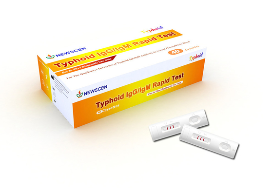 Em casa um teste rápido tifoide diagnóstico de IgG IgM da etapa in vitro